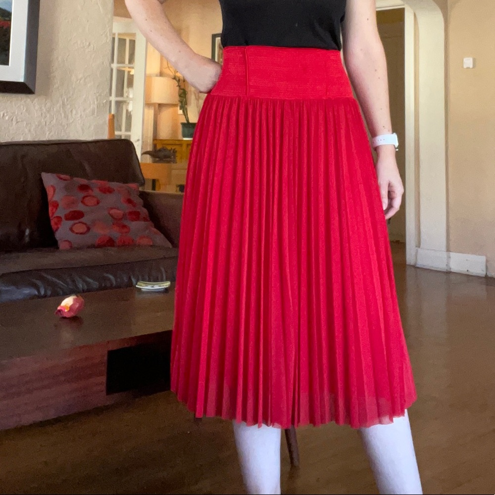 Anthropologie - HD in Paris - midi length skirt
